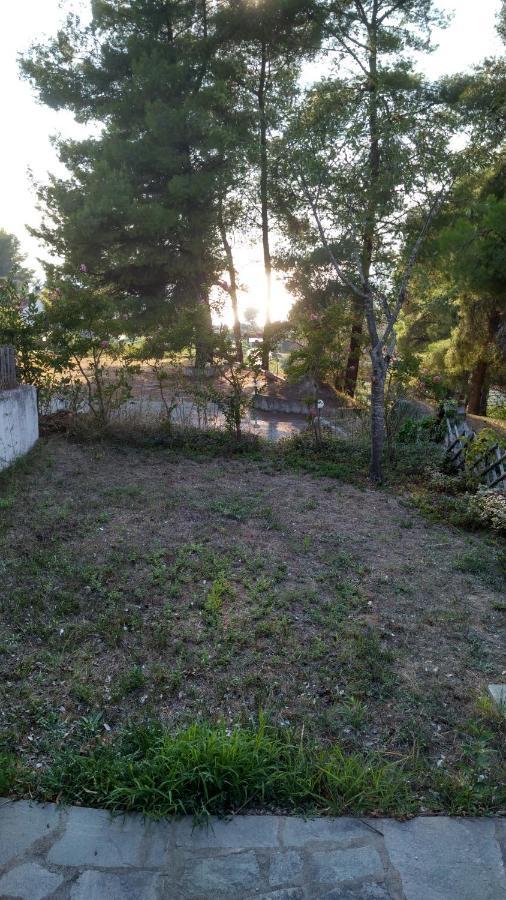 Skála Foúrkas 2-Bed Maisonette In Pine Forest, 250M From Beach Between Skala Fourka And Siviri 빌라 외부 사진