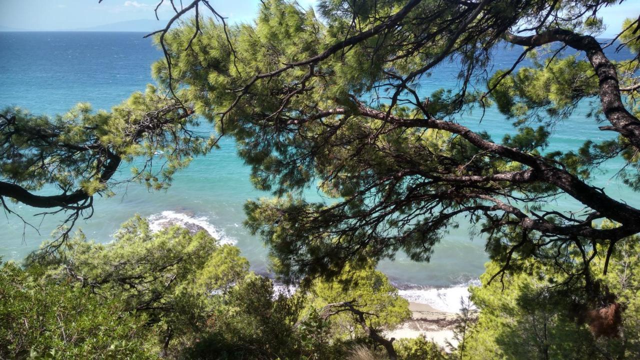 Skála Foúrkas 2-Bed Maisonette In Pine Forest, 250M From Beach Between Skala Fourka And Siviri 빌라 외부 사진
